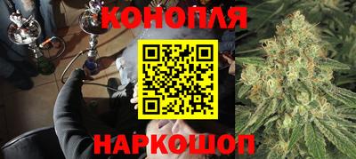 винт Донецк