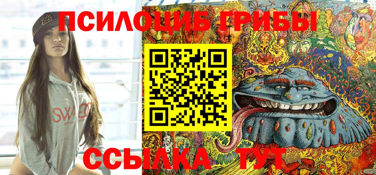 Михайловка  Псилоцибиновые грибы Psilocybe  Вход с VPN  Галлюциногенные грибы GOLDEN TEACHER 